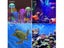 PTN New Fish Tank Aquarium Light Sale - Sale Carousel 9