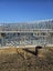 steel framing & trusses design and manufacture Carousel 7