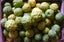 Kaffir lime - 1 Kg Carousel 2