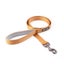 Dog Walking Leash Solid Color Leash Pet, Padded, Strong 4feet L / 2.5cm W Carousel 7