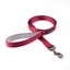 Dog Walking Leash Solid Color Leash Pet, Padded, Strong 4feet L / 2.5cm W Carousel 6