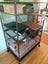 Two Male Chinchillas Carousel 9