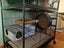 Two Male Chinchillas Carousel 10
