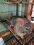 Two Male Chinchillas Carousel 18