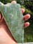 Ruby in Fuchsite and kyanite carving slab Carousel 3