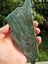 Ruby in Fuchsite and kyanite carving slab Carousel 6