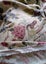 RICHLOOM LINEN/RAYON FABRIC PIECE Carousel 2