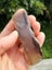 Stunning transparent Agate NZ Quality carving slab Carousel 5
