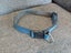 Large Dog Collar Carousel 1