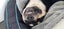 Pound Paws Rescue - Beautiful natured Gavin - Kaiapoi Carousel 5