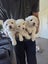Beautiful Bichon frise Carousel 3