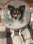 Maggie - Chance 4 Change Carousel 11