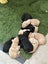 Purebred Labrador Puppies Carousel 3
