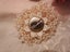 Beautiful Pearl Gold Brooch - #BR10 Carousel 7