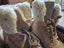 UGG boots Carousel 2