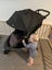 Loading Image 1 of 5