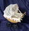 Decorative Doll’s Pram Carousel 1