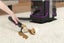 Kogan StainClean Carpet and Upholstery Spot Cleaner Carousel 3