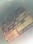Wadkin Radial Arm Saw Carousel 9