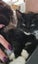 Gypsy - Wcc Rescue Kitten Carousel 7