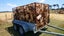 Pine Firewood Carousel 1