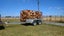 Pine Firewood Carousel 3