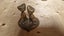 Brass Antique Carousel 5