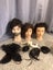 Mannequin head for hairdressing Carousel 1