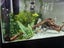 Large triangular aquarium and stand, dry use only? Carousel 1