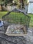 Avi One Birdcage Carousel 1