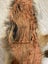 Antique red fox fur stole Carousel 3
