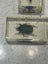 Bugs insects in resin x 4 scorpion, giant hornet, chafer, lantern fly Carousel 5