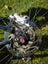 Trek Superfly 24 inch mountain bike Carousel 5