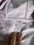 $1 Reserve -Girls clothing set size 7-12 Carousel 9