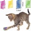Cat Spring Toys Bouncy Coil Kitty Cats Spiral Spring Toy for Indoor Cats Carousel 3