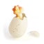 Loading Image 1 of 2