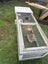 2 female rabbits with hutch Carousel 3