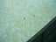 old formica dining table , chrome legs (1950's-60s) Carousel 6
