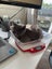 THE STREET CAT PROJECT - FLUFFSTERS - AVAILABLE FOR PREADOPTION Carousel 5