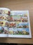 2 Asterix Books - In Switzerland & The Big Fight Carousel 13