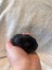 Purebred Mini Lop baby rabbits Carousel 7
