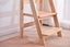 Solidwood Learning tower kitchen helper adjustable height Carousel 4