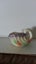NAUTILUS VASE (Shorter & Sons) Carousel 1