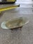 Small brass bathtub Carousel 1