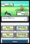 POKEMON Pearl Version (DS) *MINT COMPLETE* Carousel 10