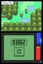 POKEMON Pearl Version (DS) *MINT COMPLETE* Carousel 14