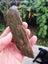 Pounamu Greenstone Nelson Jade RAUKARAKA carving slab $1 reserve MAY DEALS Carousel 3