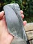 Pounamu Greenstone Inanga carving slab $1 reserve MAY DEALS Carousel 3