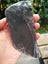 Pounamu Greenstone Inanga carving slab $1 reserve MAY DEALS Carousel 2
