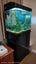Aquarium Carousel 1